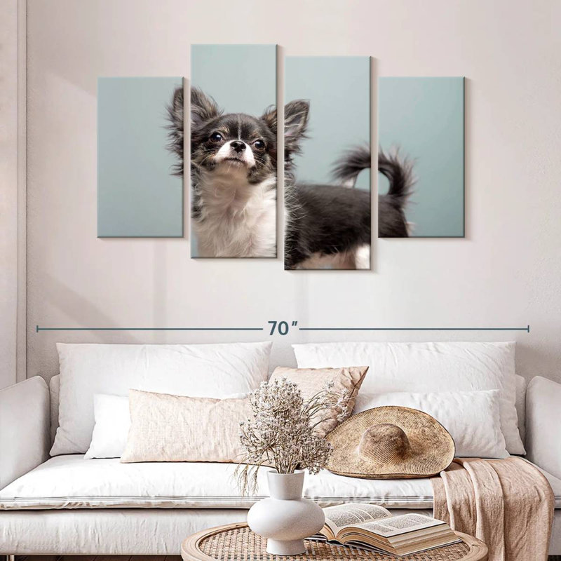 Brampt Long Haired Chihuahua, 32" H x 52" W