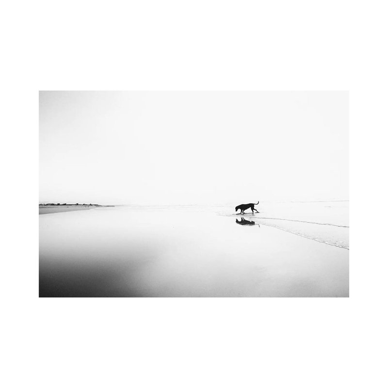 Life's a Beach 1 Piece Wall Art on Canvas, 30.48cm H x 45.72cm W x 1.91cm D, Wrapped Canvas