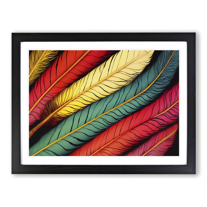 Colourful Bird Feathers Vol.1 - Framed Print, 25cm H x 34cm W x 2cm D, Black