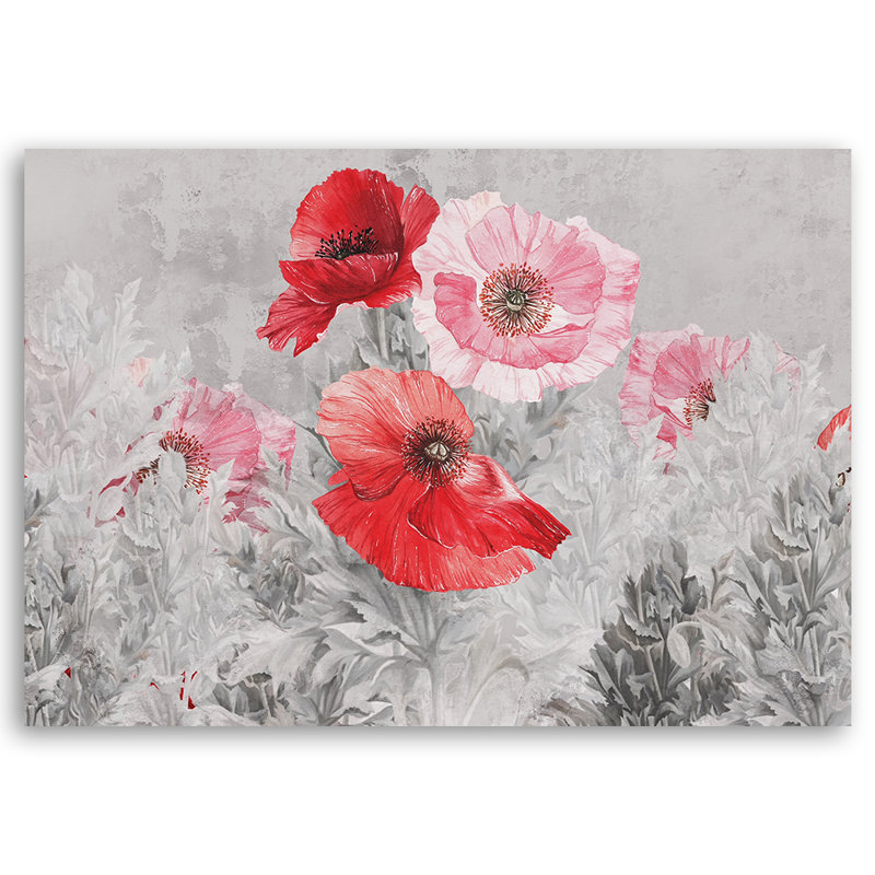 Red Poppies In A Meadow - No Frame Print on Canvas, 70cm H x 100cm W