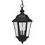 Edgewater 3-Light Outdoor Hanging Lantern-910174853