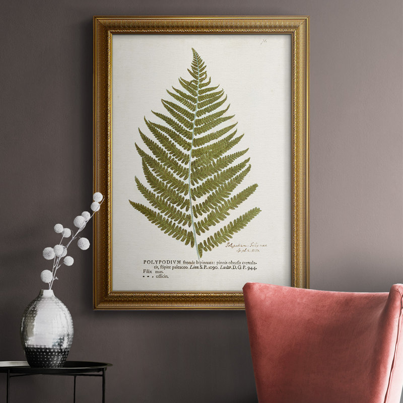 «Nature Printed Ferns II», reproduction sur toile encadrée, H 27 po x l 18 po