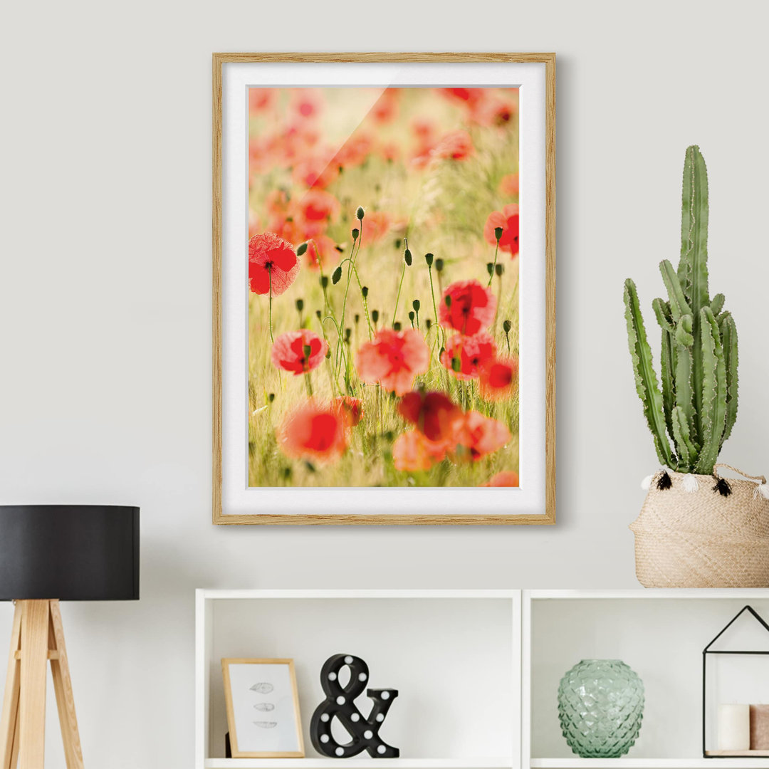 Gerahmtes Poster Sommerliche Mohnblumen