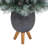 British Columbia 3.5' H Lighted Artificial Pine Christmas Tree
