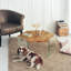 3 Legs Coffee Table