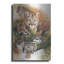 «Feline Rhapsody» par Barbara Keith sur métal-98493133