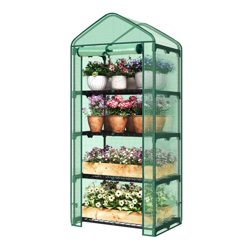 Ellerslie 4.7 Ft W x 11.8 Ft D Mini Greenhouse, Green