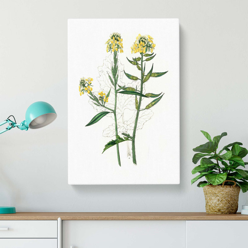 Mustard Flowers Illustration - Wrapped Canvas Painting, 76cm H x 50cm W x 3cm D