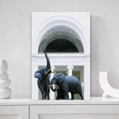 Museum Of Natural History Chicago Illinois USA by Carol M Highsmith - Wrapped Canvas Print