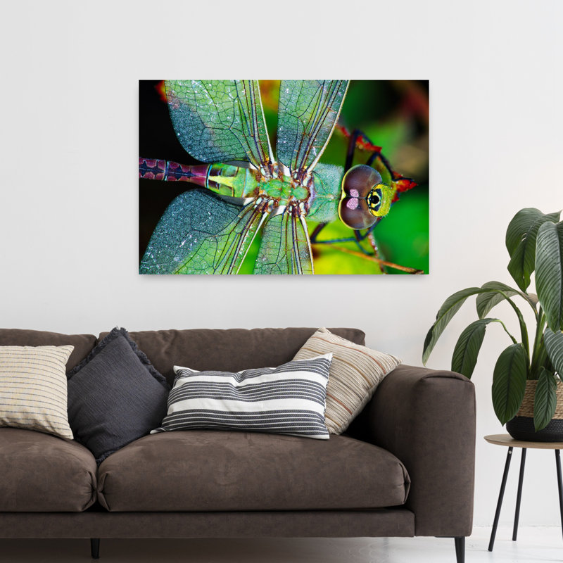 Libellule Darner, H 32 po x l 48 po