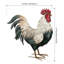Statue de jardin en métal Verde Rooster-1645474842