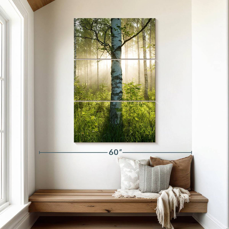 Harnek Sunlit Birch Tree, 50" H x 32" W