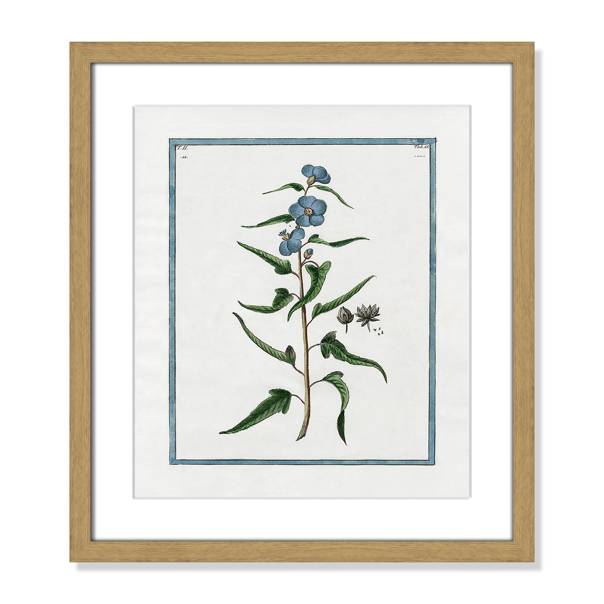 Shabby Elegance Botanical I - Framed Art Full Bleed, 13" W x 15" H, Natural Framed