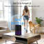 Purificateur d'air de table pour les poils d'animaux de maison Kloudic-88251600-88251601