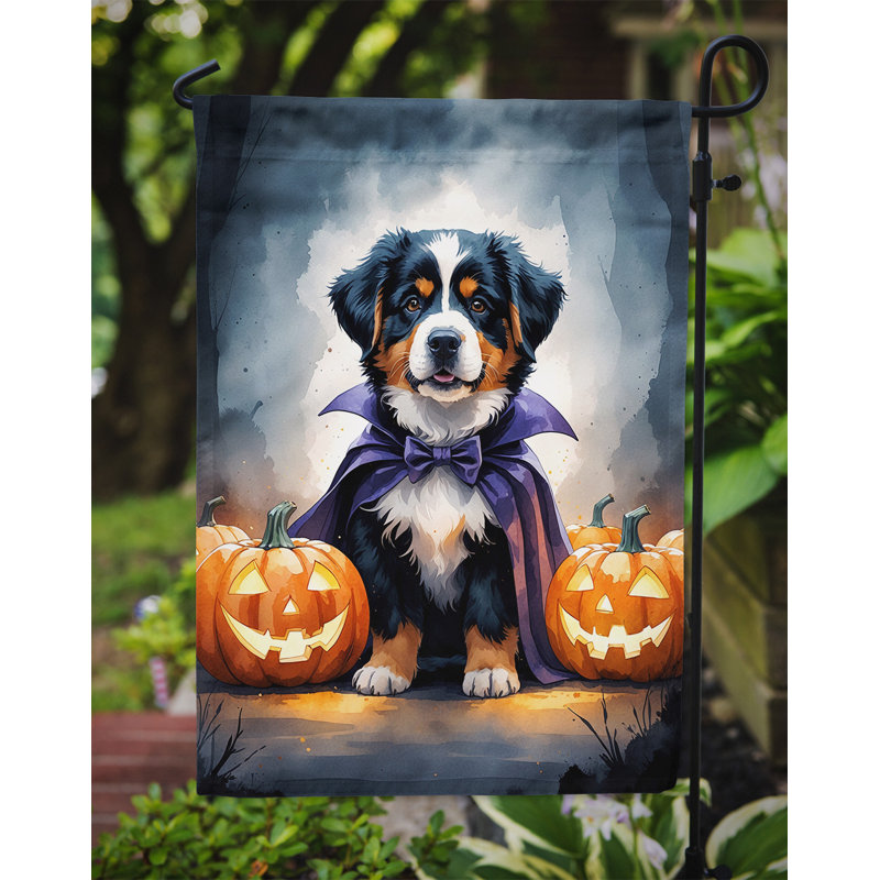 Puppy Halloween Garden Flag, Bernese Mountain Dog