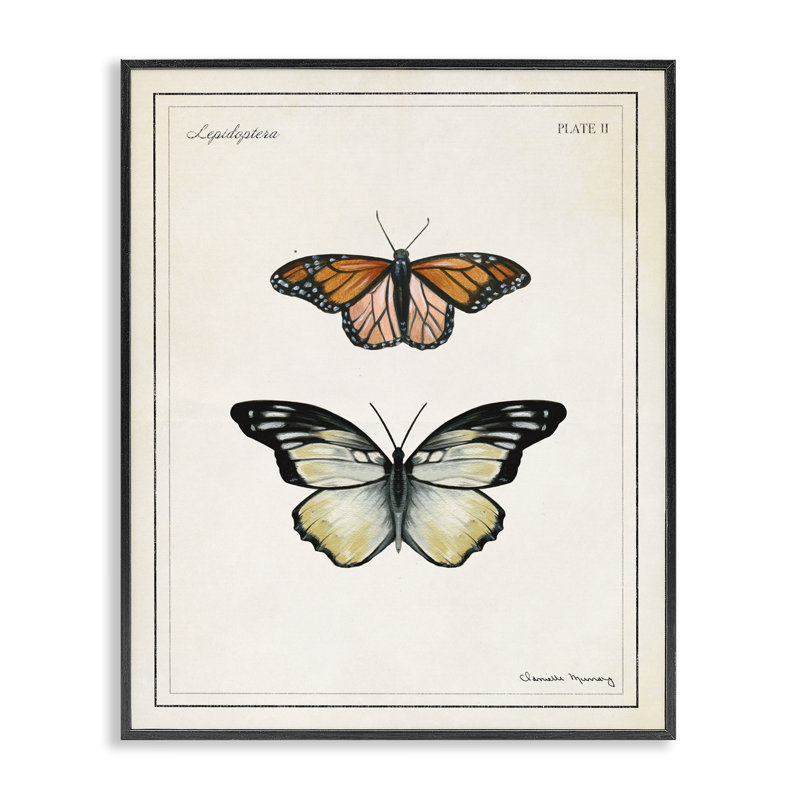 «Manor House Butterflies», estampe numérique, conception de Danielle Murray, H 20 po x l 16 po, Giclée encadrée noir minuit