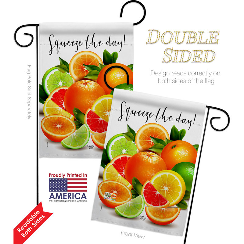 Double Sided 18.5'' H x 13'' W Polyester Flag Set