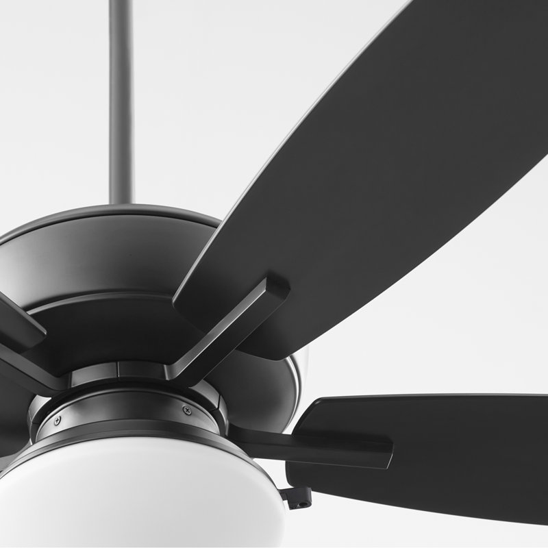 Braylie 52'' Ceiling Fan with LED Lights, Black