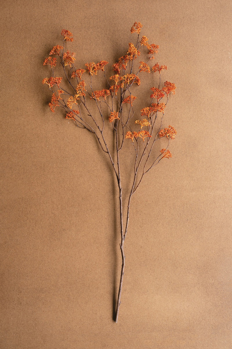 Rice Flower Stems, Orange