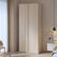 Tashyia 2 Door Wardrobe
