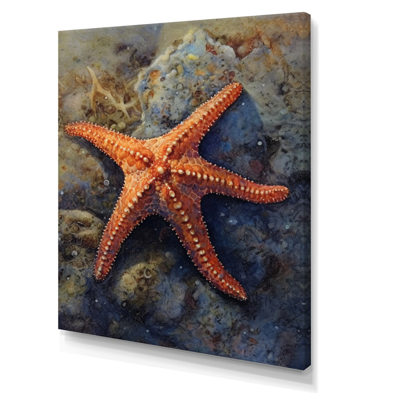 Étoile de mer Spinny I sur toile, H 32 po x l 16 po x P 1 po, Toile tendue