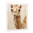 White Single Picture Framed