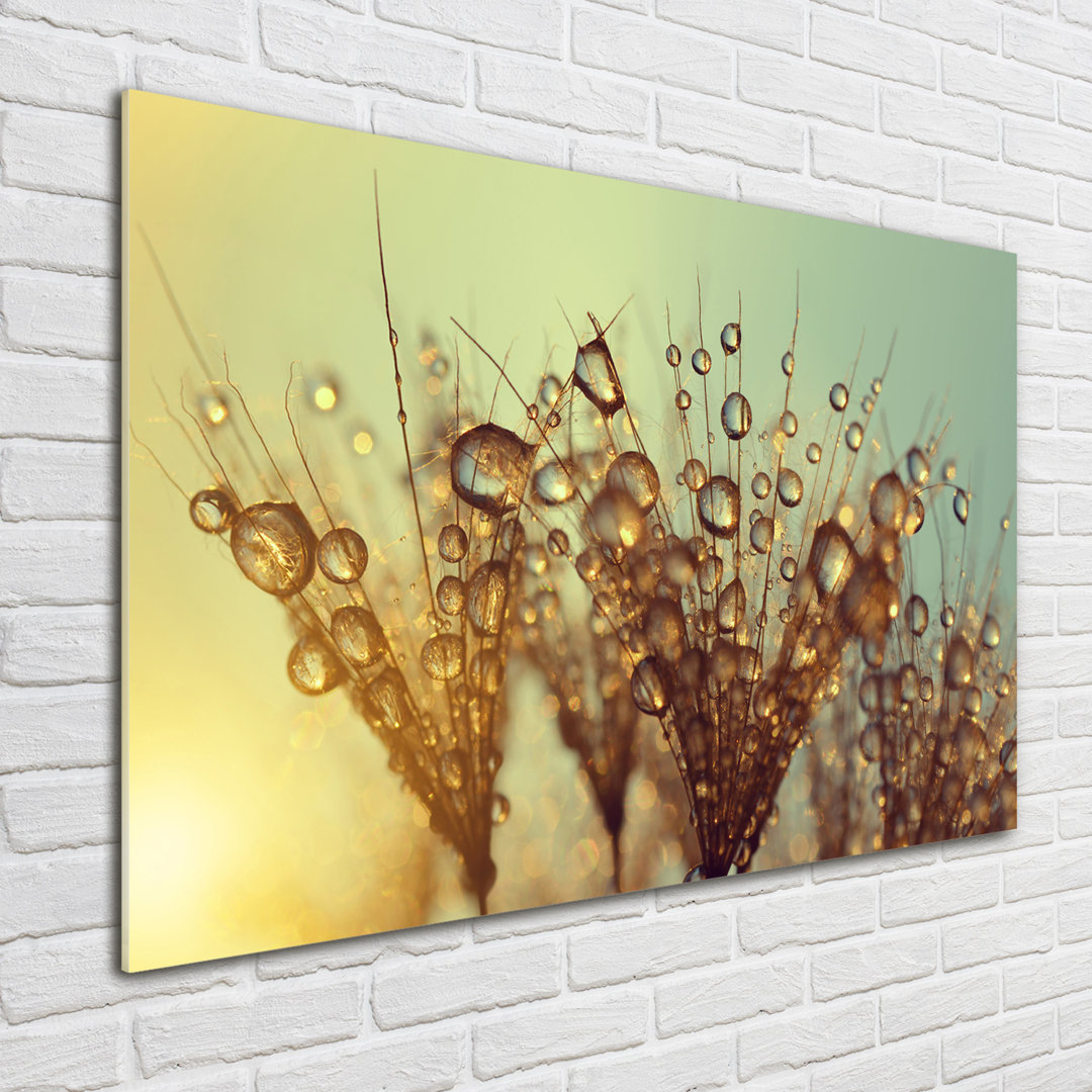 Dandelion Seeds - Unframed Art Prints on Glass