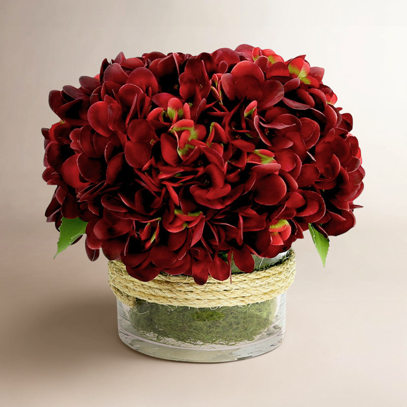 Sarina Hydrangea Floral Arrangement in Glass Vase with Moss, Burgundy