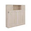 Grand lit escamotable avec armoires de rangement-1900134689