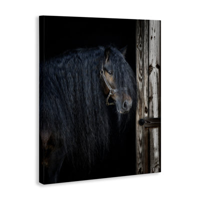 Cheval avec crinière ondulée, art mural par PHBurchett
