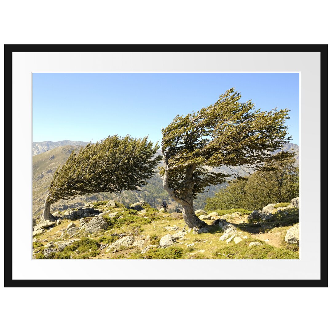 Gerahmtes Poster Schiefer Baum