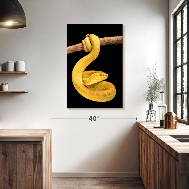 Brampt Venomous Pit Viper, 39" H x 26" W