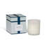 Park Hill Collection Candles Plant / Floral Jar Candle