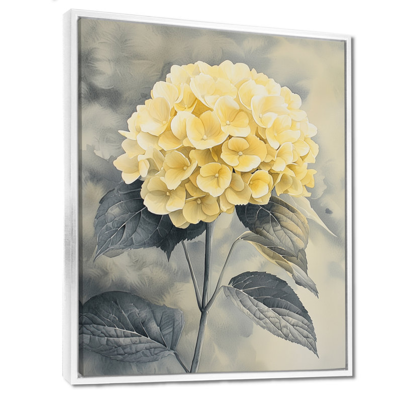 Fleurs d'hortensia jaune doux II - hydrangées murales, Reproduction avec cadre flottant, H 20 po x l 12 po, Blanc