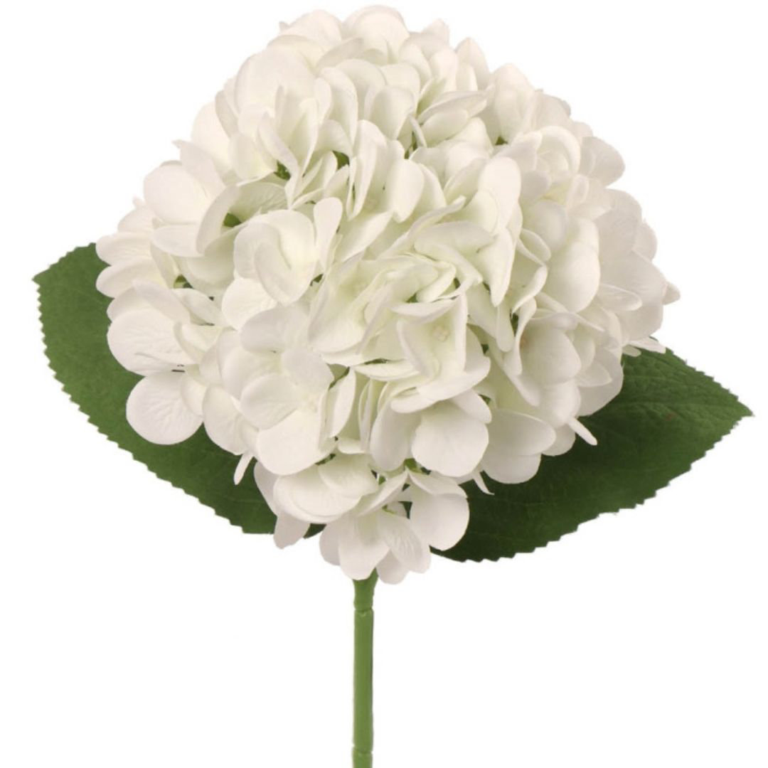 Primrue Russ Hydrangea | Wayfair