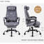 Latitude Run Bouchra Executive Chair