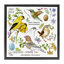 Art mural sur toile flottant encadré "local oiseaux" par Jane Maday-256105497-260653240