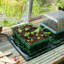 Gro-Sure Hydroponic Unit