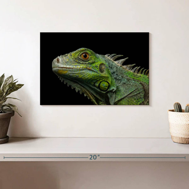 Green Iguana Head, 8" H x 12" W