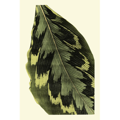 Grandiose Leaves I - Wrapped Canvas Print
