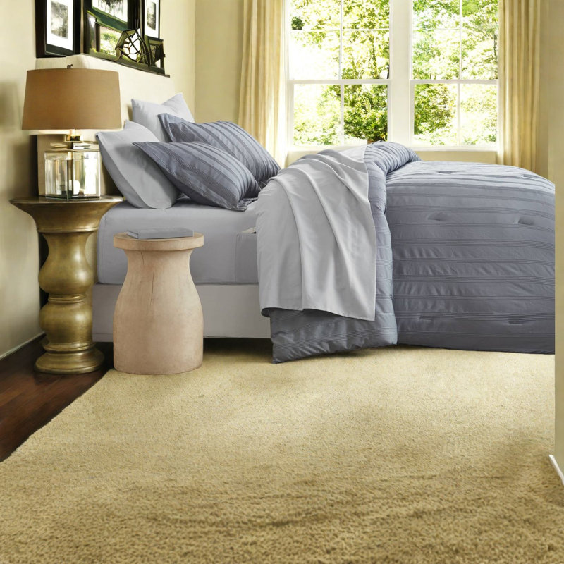 Plush Comfort Bedding Sets, Polyester Minimalist, Dorm Essential