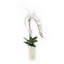 Orchid Faux Floral in Vase