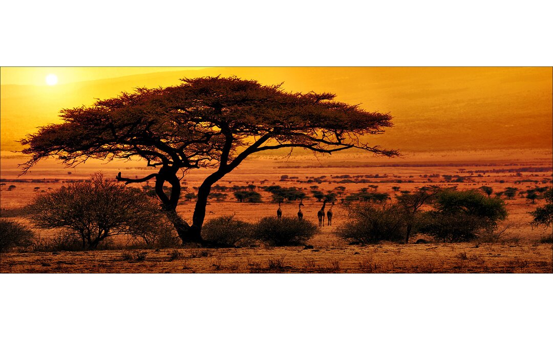 Glasbild Melancholie Of Africa, Kunstdruck