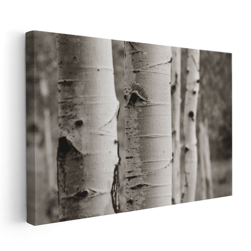 Aspens III - reproduction d'art sur toile, H 40 po x l 60 po