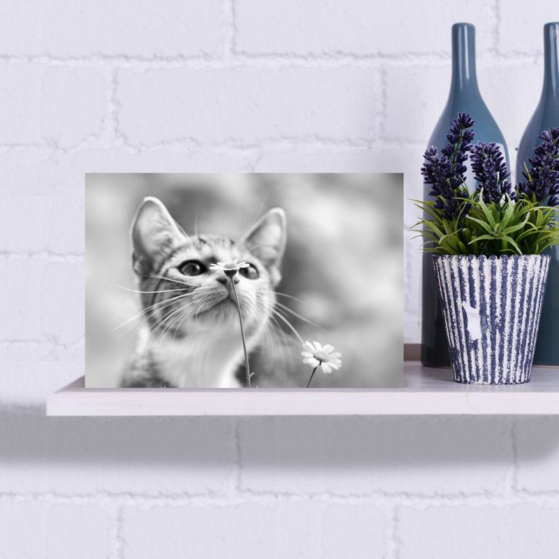 Curious Kitten Daisy Peaceful Abstract Cat Daisy Flower Nature Wall Art Print, 30.48cm H x 45.72cm W