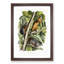Red-Bellied Squirrels by J.W. Audubon - Picture Frame Painting Print-55771881-55771882