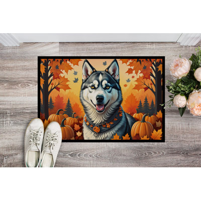 Noahalexander Non-Slip Doormat