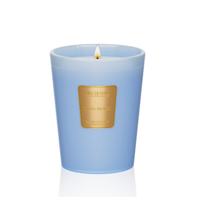  Eucalyptus Cedarwood Soy Candle, 14.1oz 60H Long Lasting, Aromatherapy Candle for Office Relaxation Winter Home Decor Housewarming Gifts