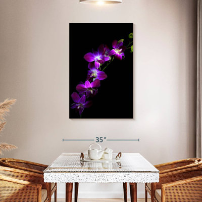 Harnek Purple Dendrobium Orchids