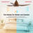 52'' Ceiling Fan with LED Lights-73302810